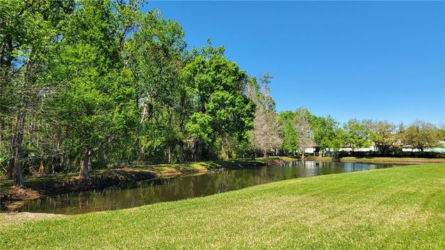 4535 WINDING RIVER WAY, Land O Lakes, FL 34639
