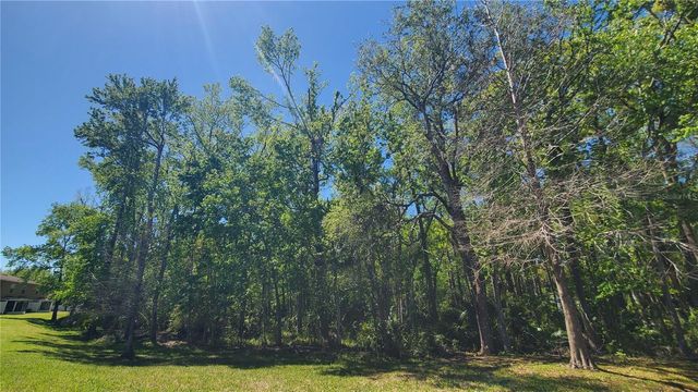 4535 WINDING RIVER WAY, Land O Lakes, FL 34639