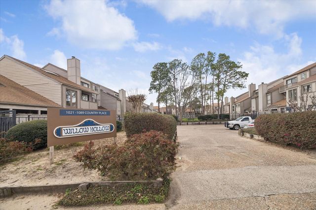 1077 Country Place Drive 1077, Houston, TX 77079