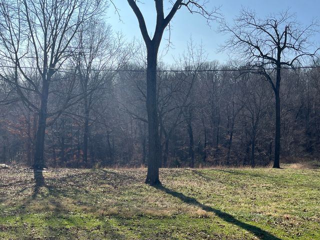 98 Anthony Lane, Pineville, MO 64856