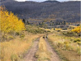 1129 Laker Ln, Fort Garland, CO 81133