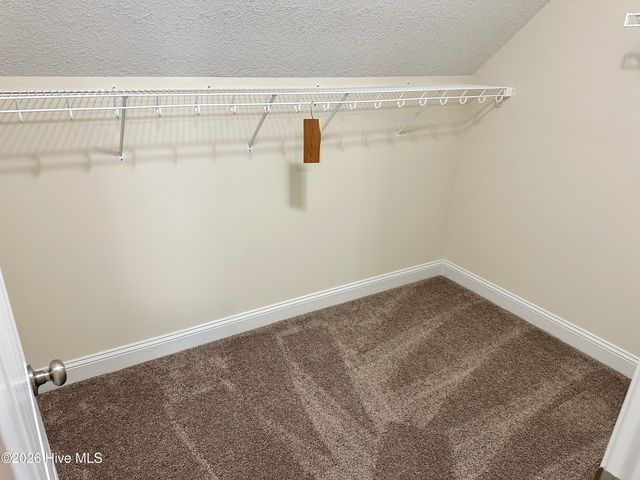 301 Old Snap Dragon Court, Jacksonville, NC 28546