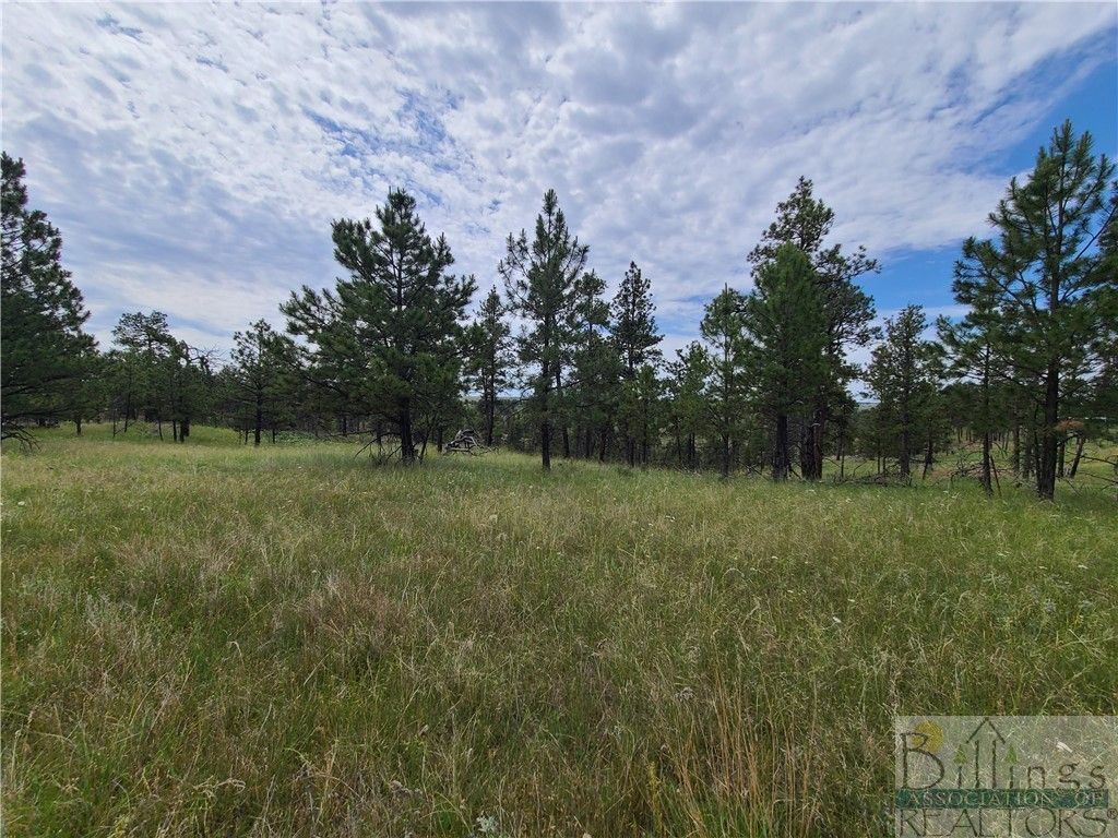 TBA EAGLE RIDGE RD, Roundup, MT 59072