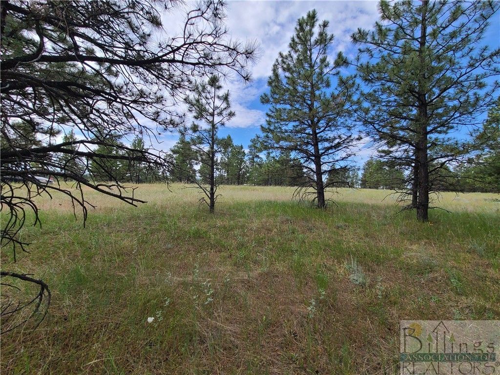 TBA EAGLE RIDGE RD, Roundup, MT 59072 photo 10
