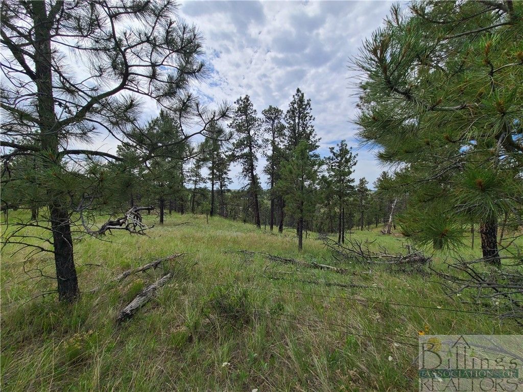 TBA EAGLE RIDGE RD, Roundup, MT 59072 photo 11