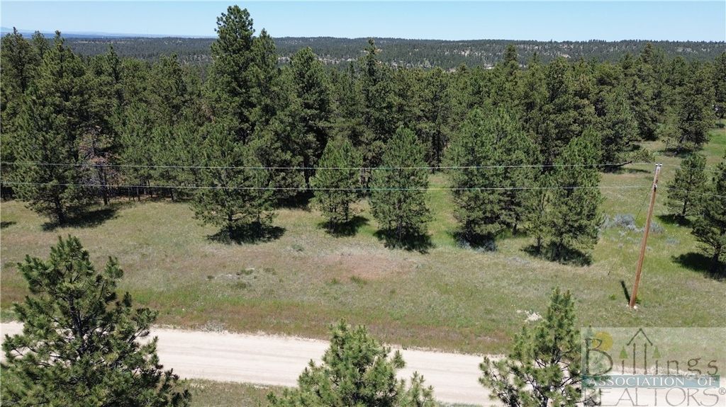 TBA EAGLE RIDGE RD, Roundup, MT 59072 photo 2