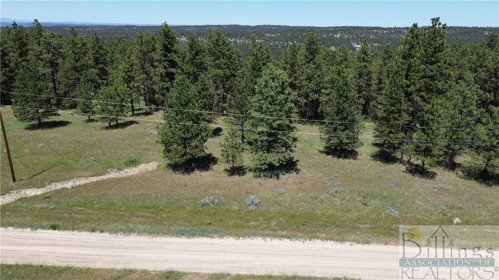 TBA EAGLE RIDGE RD, Roundup, MT 59072 photo 3