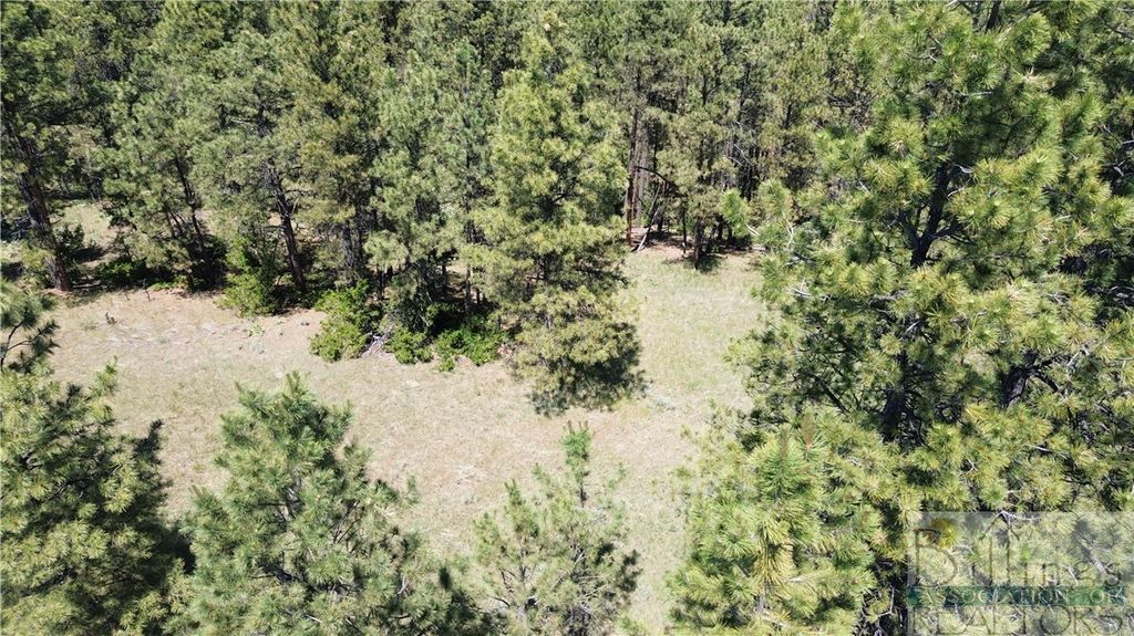 TBA EAGLE RIDGE RD, Roundup, MT 59072 photo 4