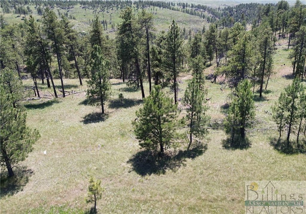TBA EAGLE RIDGE RD, Roundup, MT 59072 photo 5