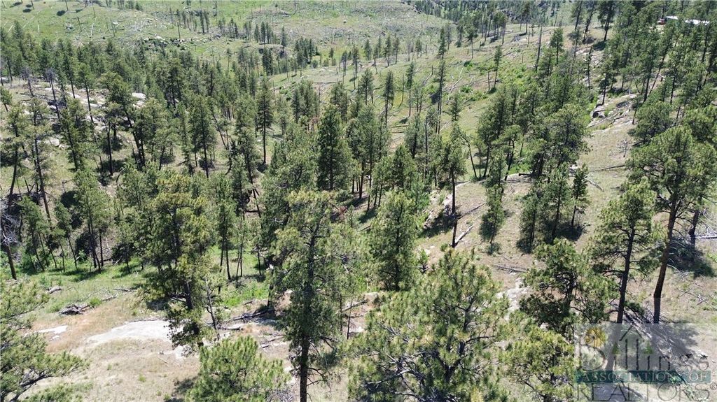 TBA EAGLE RIDGE RD, Roundup, MT 59072 photo 6