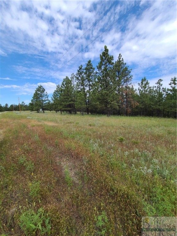 TBA EAGLE RIDGE RD, Roundup, MT 59072 photo 7