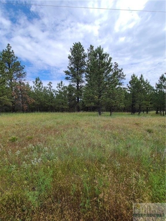 TBA EAGLE RIDGE RD, Roundup, MT 59072 photo 8