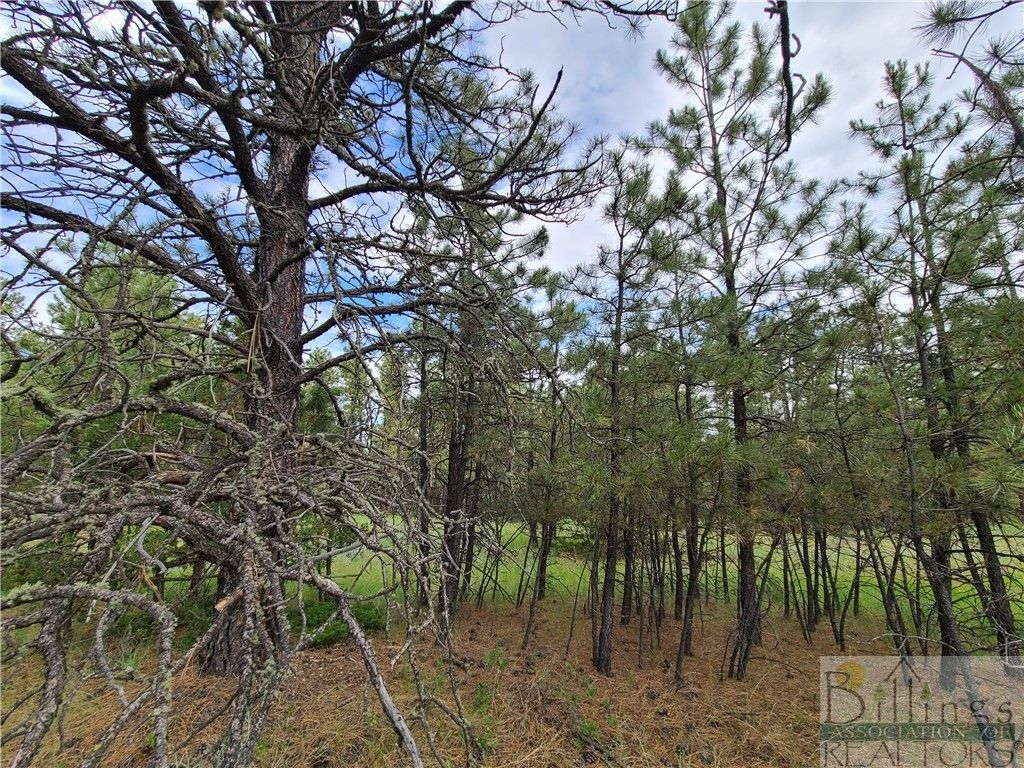 TBA EAGLE RIDGE RD, Roundup, MT 59072 photo 9
