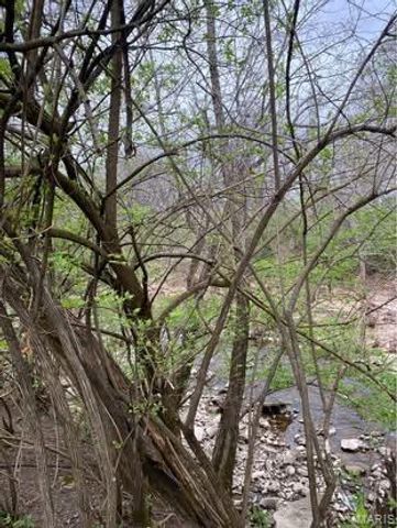 0 Jewell Street, Park Hills, MO 63601