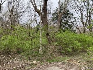 0 Jewell Street, Park Hills, MO 63601