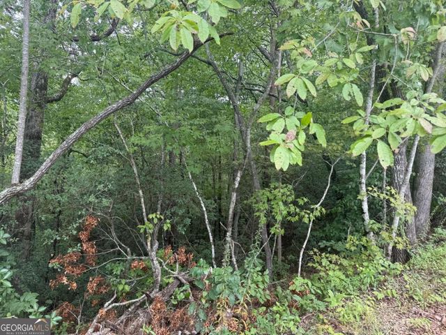 0 Bethabara View 11, Hayesville, NC 28904