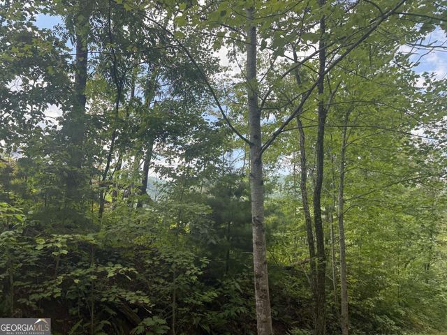 0 Bethabara View 11, Hayesville, NC 28904