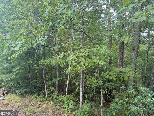 0 Bethabara View 11, Hayesville, NC 28904