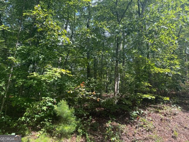 0 Bethabara View 11, Hayesville, NC 28904