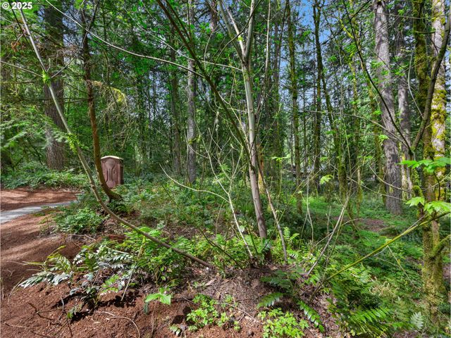 23375 E ADEL Ave, Brightwood, OR 97011
