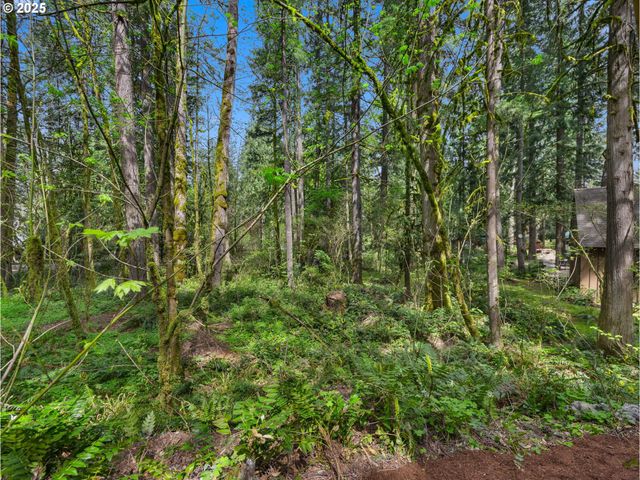 23375 E ADEL Ave, Brightwood, OR 97011