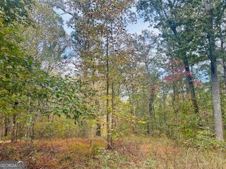 16 Turkey Court LOT # 47, Waco, GA 30182