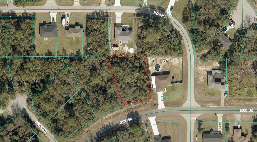 TBD LOT 17 OLIVE ROAD, Ocala, FL 34472