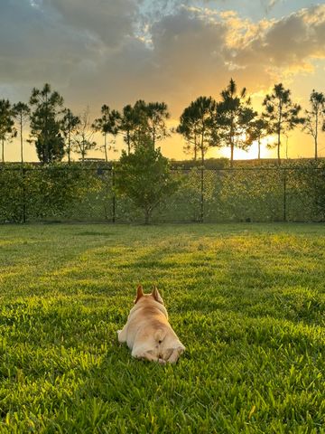 1361 Wandering Willow Way, Loxahatchee, FL 33470