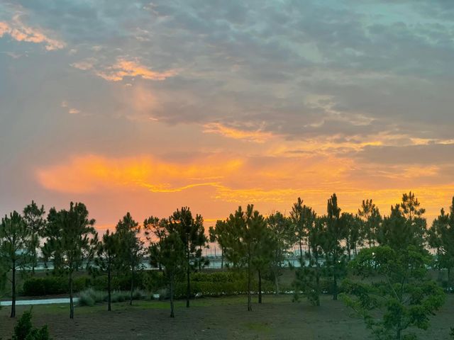 1361 Wandering Willow Way, Loxahatchee, FL 33470