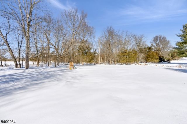 305 Raymond Ct, Bridgewater Twp., NJ 08807