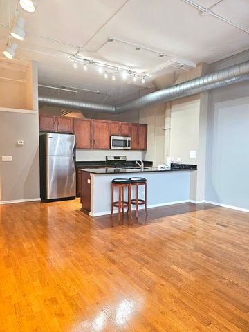 2323 W PERSHING Road 128, Chicago, IL 60609