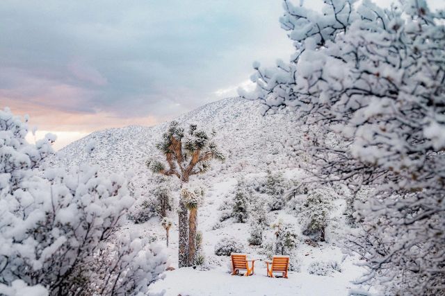 48311 Burns Canyon Rd, Pioneertown, CA 92268
