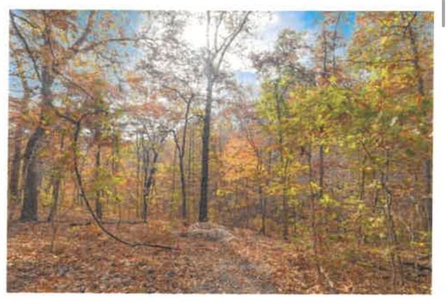 Lot 10 Block 5 Halford Circle, Bella Vista, AR 72715
