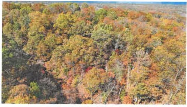 Lot 10 Block 5 Halford Circle, Bella Vista, AR 72715