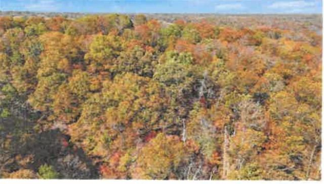 Lot 10 Block 5 Halford Circle, Bella Vista, AR 72715