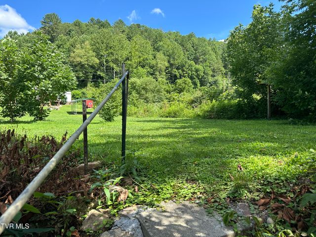 8777 Roan Creek Road, Butler, TN 37640