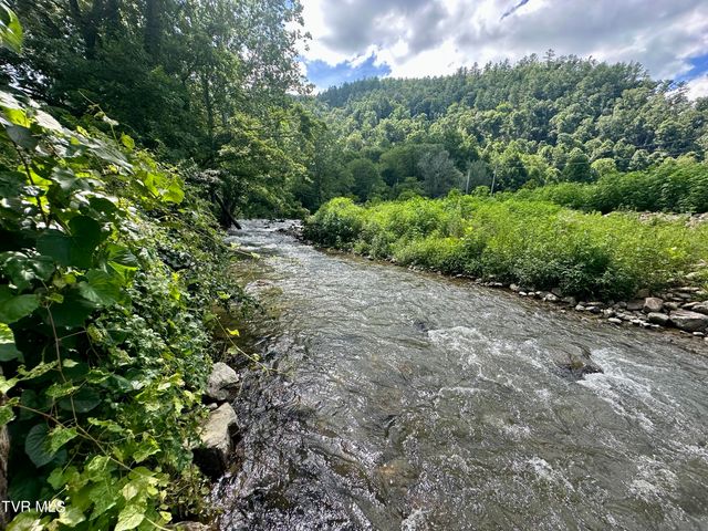 8777 Roan Creek Road, Butler, TN 37640