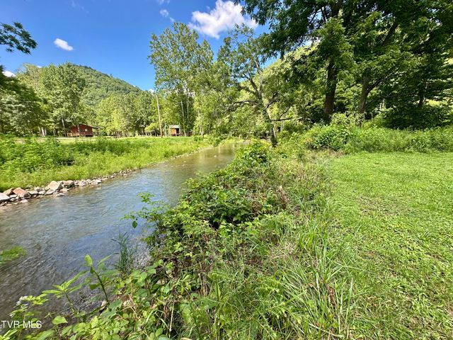 8777 Roan Creek Road, Butler, TN 37640