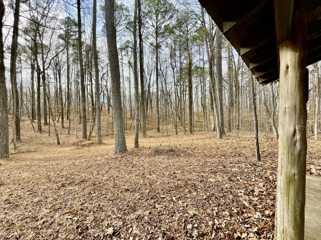 84 Granny Pratt Ln, Belvidere, TN 37306