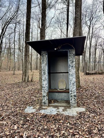 84 Granny Pratt Ln, Belvidere, TN 37306