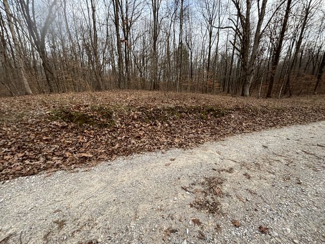 84 Granny Pratt Ln, Belvidere, TN 37306