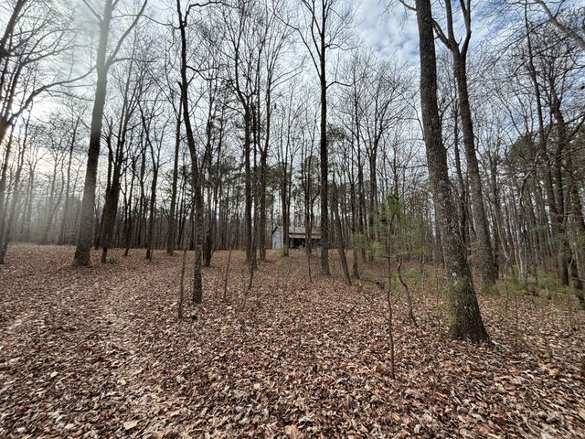 84 Granny Pratt Ln, Belvidere, TN 37306