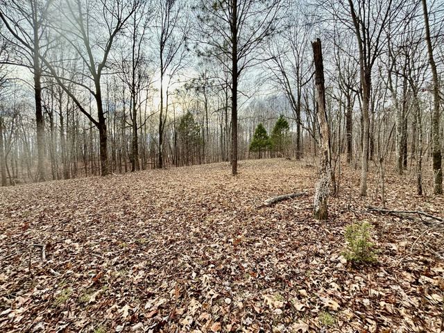 84 Granny Pratt Ln, Belvidere, TN 37306