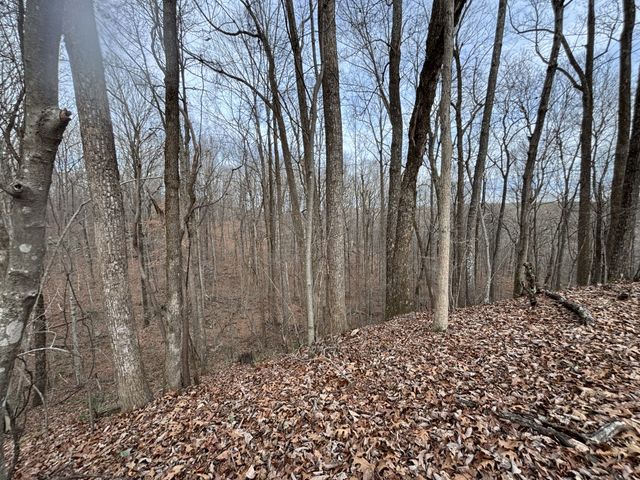 84 Granny Pratt Ln, Belvidere, TN 37306