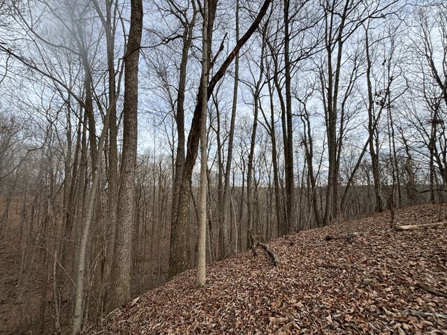 84 Granny Pratt Ln, Belvidere, TN 37306