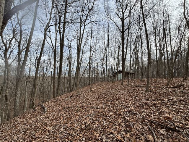 84 Granny Pratt Ln, Belvidere, TN 37306