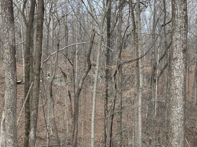 84 Granny Pratt Ln, Belvidere, TN 37306