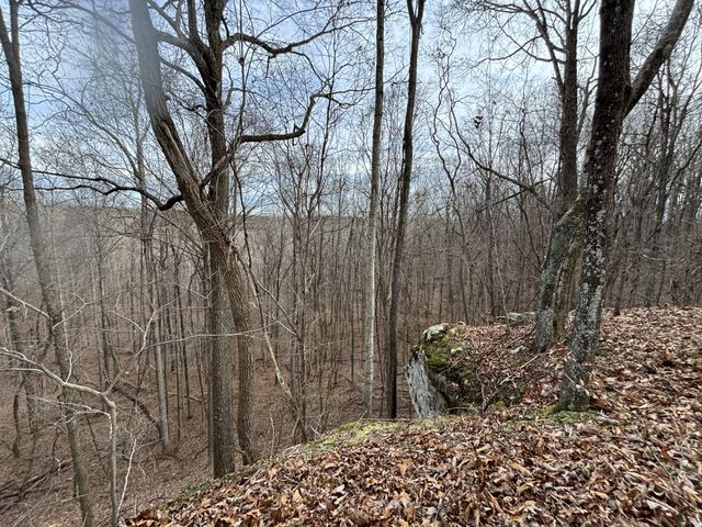 84 Granny Pratt Ln, Belvidere, TN 37306