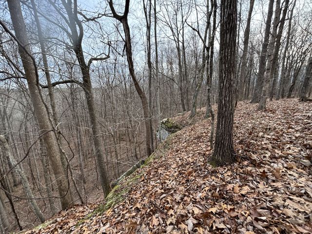 84 Granny Pratt Ln, Belvidere, TN 37306