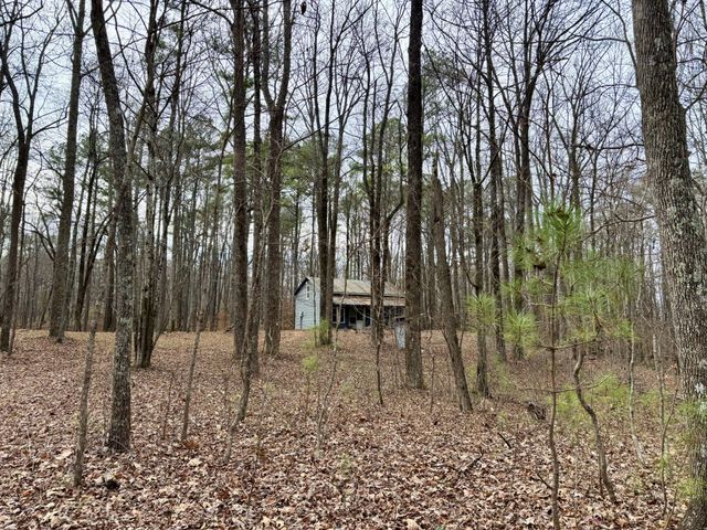 84 Granny Pratt Ln, Belvidere, TN 37306